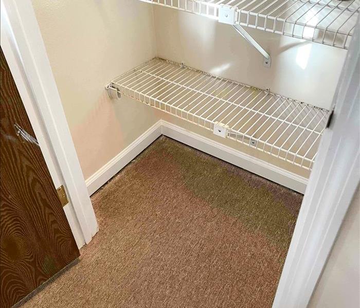 closet with carpet