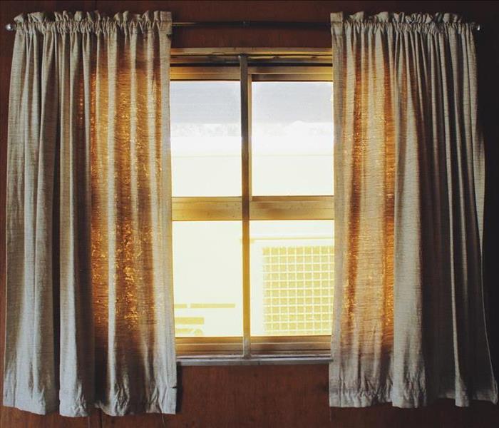 Window and Curtains